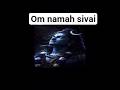 om namah sivai