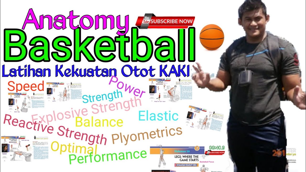 BASKET latihan Kekuatan  Otot  Kaki  Basket Bola Basket 