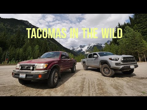 We drove a 1998 Toyota Tacoma and a new Tacoma TRD Pro to Banff on forestry roads