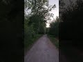 POV: Walking in the woods while the fair is in town 🌲🎡#asmr #forestwalk #distantfairground  #shorts