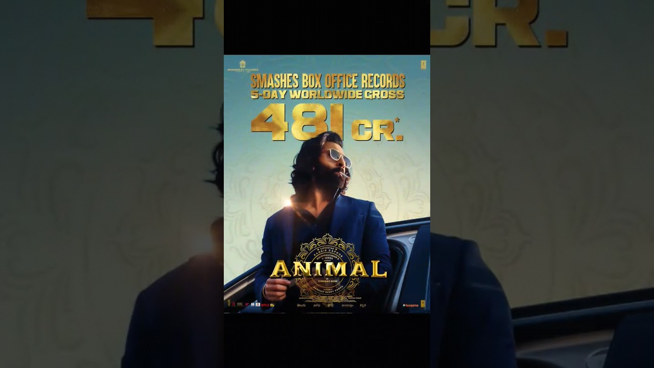 Animal Movie 10 Day Worldwide Collection 