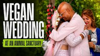 They Got Married Where Animals Get a Second Chance | Neetu & Moiz