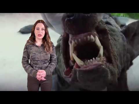 GMZATV - ჩუპაკაბრა