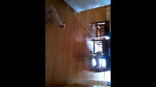 The Young Teasing The Old