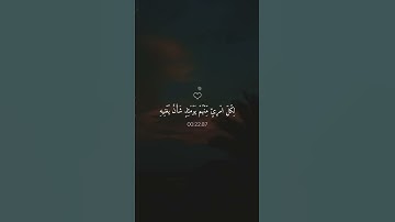 تلاوة هادئة تأخذك إلى عالم من الهدوء والسكينة بصوت الشيخ ماهر المعيقلي ♡ #ماهر_المعيقلي​ #قرآن
