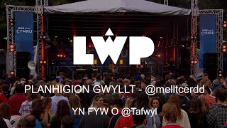 Mellt - Planhigion Gwyllt Yn Fyw Live Tafwyl 2022