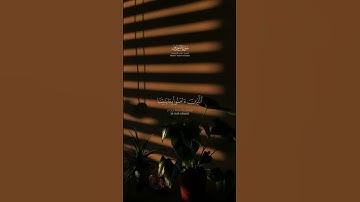 ياعباد لا خوف عليكم اليوم ولا أنتم تحزنون | سورة الزخرف | الآية (68) : (70) | ياسر الدوسري
