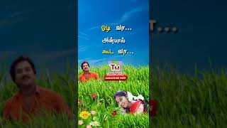 Ennai Thottu Alli Konda💜 Female Version💛Tamil Love WhatsApp Status