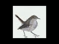 Cosmo Sheldrake Nightingale Part 1 