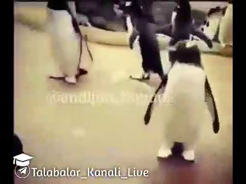 Iftorlikka 5 min qoldi 😂😂😂😂😂😂😂😂😂😂