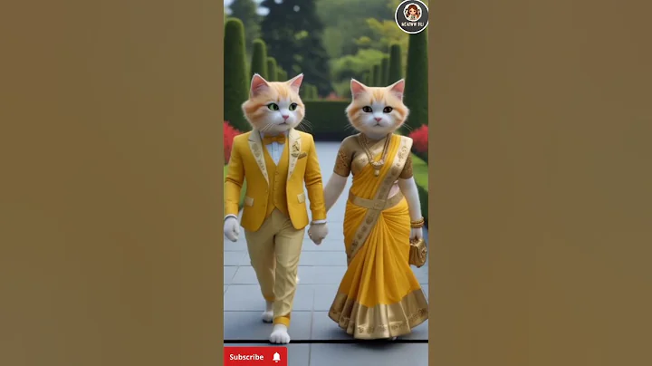 Video 9063411: cat walk cute