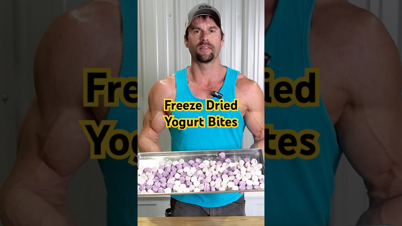 Crunchy Yogurt Bites 