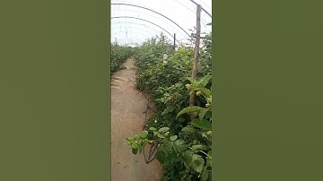 تلاوة خاشعة #القرآن_الكريم #سورة_البقرة #اية_الكرسي