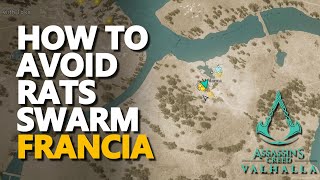 How to avoid Rats Swarm Assassin's Creed Valhalla (Can't Kill) Wealth