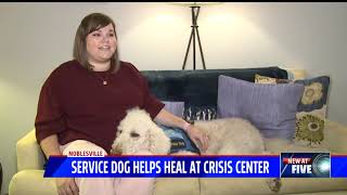 Service dog helps heal at crisis center