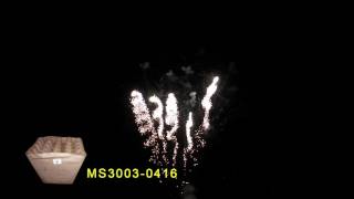 MS3003 0416