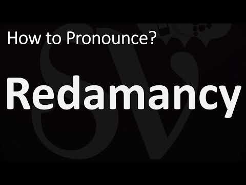 How to Pronounce Redamancy? (CORRECTLY)