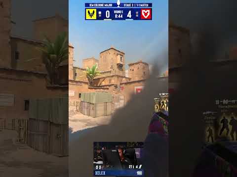 xelex 4K vs Vitality!