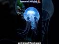 “क्या एक जेलीफिश सच में अमर है?🪼। The Immortal Jellyfish #ScienceShorts” #ImmortalJellyFish #Shorts