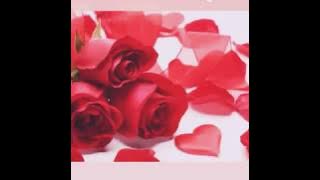 Bunga-Bunga Cinta Ost (Dalam Mihrab Cinta) 