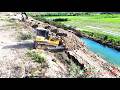 Amazingly! Heavy Equipment Shantui Bulldozer Clearing Land Fast and Dump Trucks Landfilling Lowlands