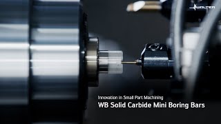 Celebrity WB Solid Carbide Mini Boring Bars: High-Precision Micro Machining. Wealth