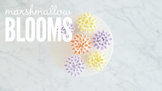 How To Make Marshmallow Blooms (Fun Easter Treat!)