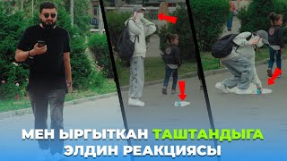 Таштанды таштаганга элдин реакциясы кандай? | соц. эксперимент | Жаник бро