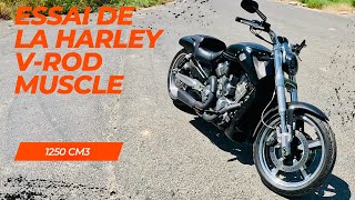 Essai De La Harley Davidson Vrod Muscle
