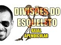 Sistema Esquelético/Ósseo - Divisões do Esqueleto: Esqueleto Axial e Apendicular - VideoAula 049