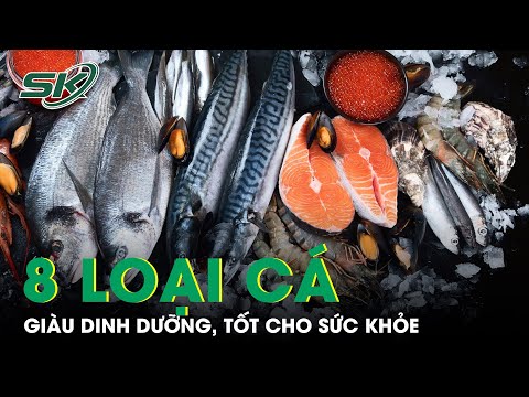 Video: Các loại cá đỏ phổ biến nhất