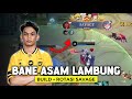 RAHASIA BUILD BANE ASAM LAMBUNG SAVAGE DARI SKYLAR - Analisis Build dan Rotasi