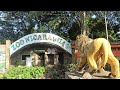 Urgente Salvemos zoologico de masaya nicaragua
