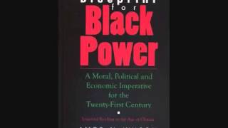 Amos N  Wilson   Developing an Afrikan centered Psychology of Liberation