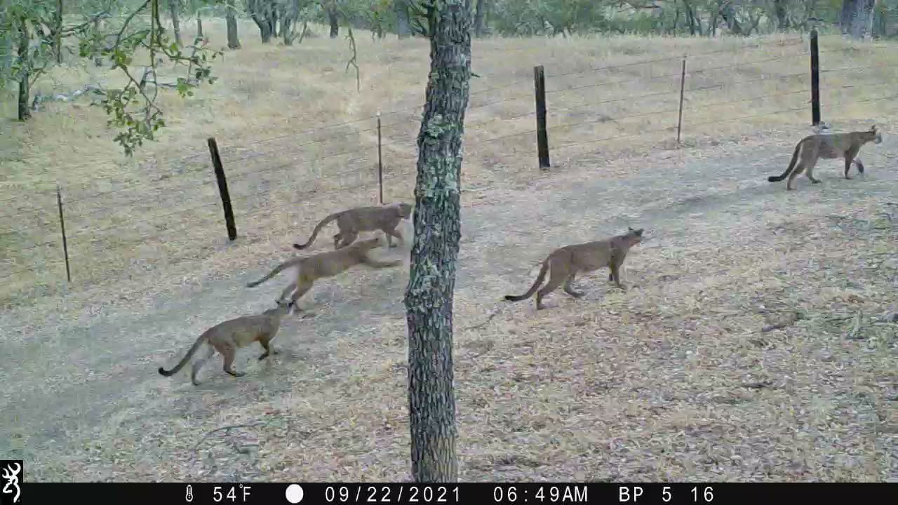 2021 Video Contest - Bill Phillips, California