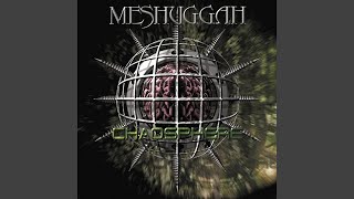 The Exquisite Machinery of Torture