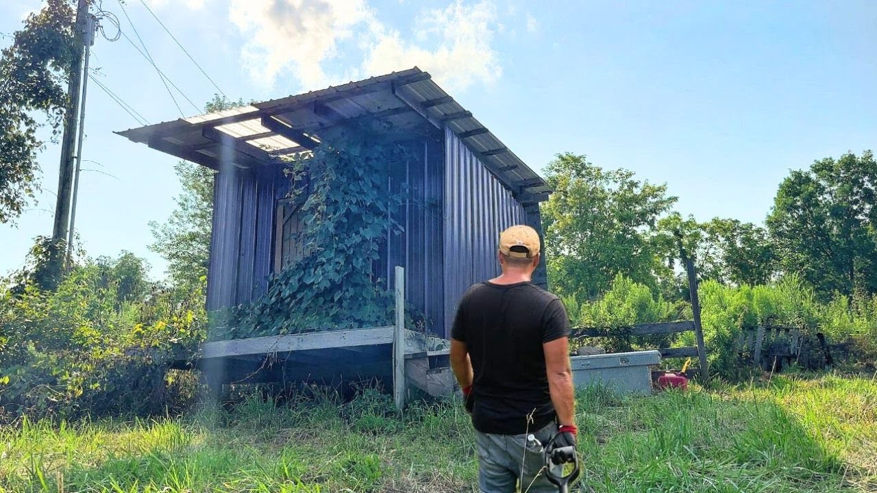 I bought abandoned land in Appalachia - Year One timelapse