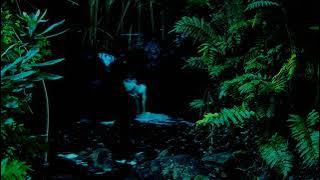 Suara Jangkrik di malam hari dan air mengalir | relaksasi pikiran