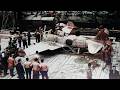 American Marines Found An Abandoned Zero Fighter — Were Shocked It Had No Armor Protection
