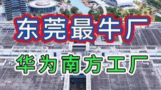 东莞最牛的工厂，有8万员工大学生占90%，收入是富士康的2倍