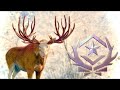 I Finally Found the GREAT ONE Spider Rack Moose! (Fabled Spruce) – the hunter COTW