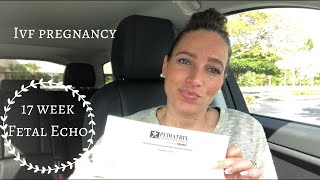 VLOG| Fetal Echo • 17 Weeks • IVF Pregnancy