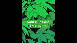 Nature Editions, Crea y Explica. #NatureEditions#VidaNueva#Plantas#Flores#youtubeshorts