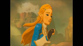 Zelink Great Wide Open