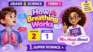 Chapter 2 Lesson 1| How breathing works |Grade 6 Science |Term 1 شرح وحل اسئلة المعاصر