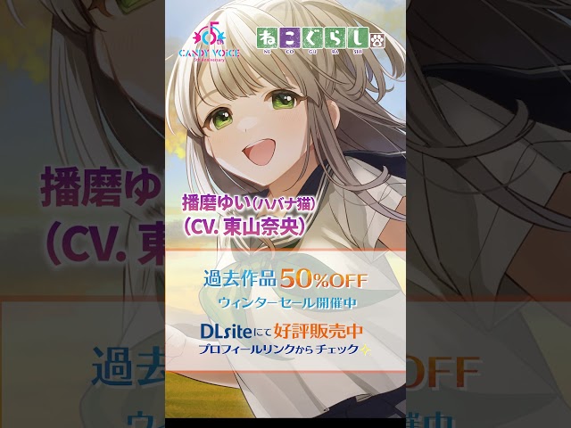 ❄️ウィンターセール 開催中❄️過去作品が50%OFF✨