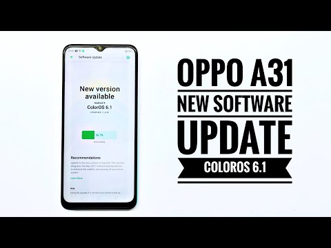 Color OS 6.1