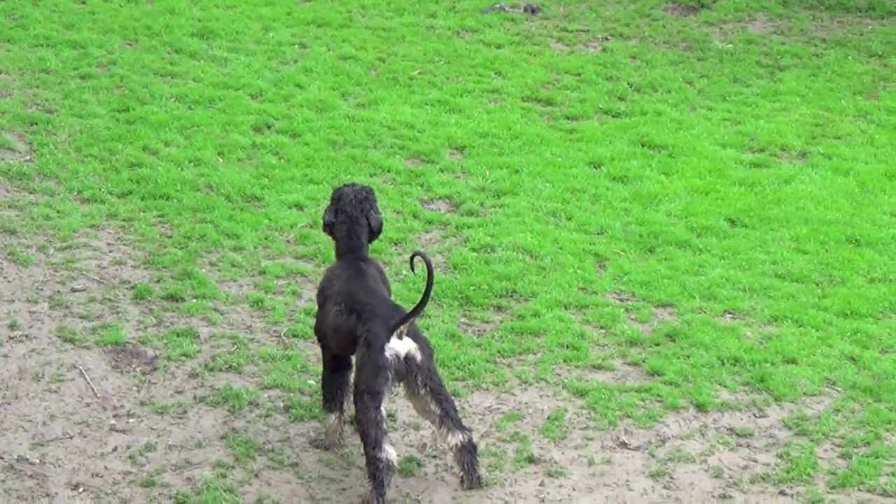 Sonntagmorgen im Elfenhof