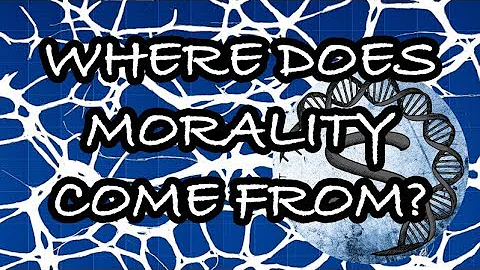 Where Does Morality Come From?