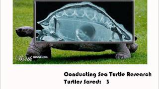 Sea Turtles - Problem Selection and Problem Specification